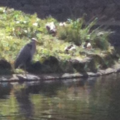 John Lordan - Twitter Profile Picture of John Lordan (@jflmaryb) on Twitter