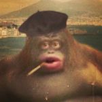 Profile Picture of David Neagoe (@david_06_n) on Instagram