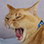 Profile Picture of brett-ross (@brett-ross) on Flickr