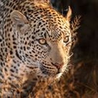 Profile Picture of Pamela Holt (@pamela-holt-3) on Quora