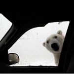 Profile Picture of Richard Bremner (@richardbremner1026) on Instagram