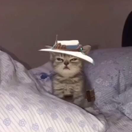Profile Picture of Bruce Ackharath (@bruceackharath) on Tiktok
