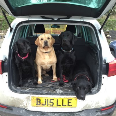 Profile Picture of Richard Catt (@rcatt73) on Twitter