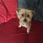 Profile Picture of Janet Woolley (@cjwoolley3gmailcom) on Instagram