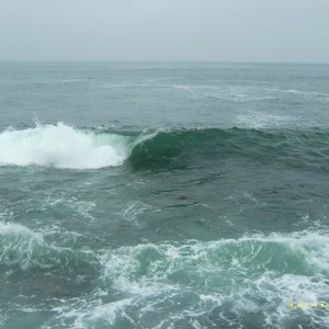 Profile Picture of Tina Marie Ablao (@lionfish7) on Myspace