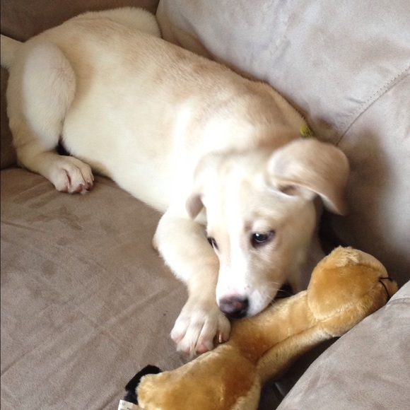 Profile Picture of Kelly Blenner (@kblen24) on Poshmark