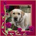 Profile Picture of Karen Eldridge (@karen.eldridge.58323) on Facebook