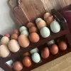 Profile Picture of WildBarryHomestead (@wildbarryhomestead) on Tiktok
