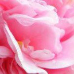 Profile Picture of noreen ohai-daniels (@noreenohaidaniels) on Instagram