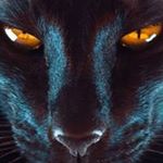 Profile Picture of Jason Pantera (@xpanteranera) on Instagram