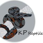 Profile Picture of Peter Gála (@kp_reptiles_sk) on Instagram