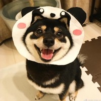 Profile Picture of Jessica Lu (@jessica-lu-8) on Quora
