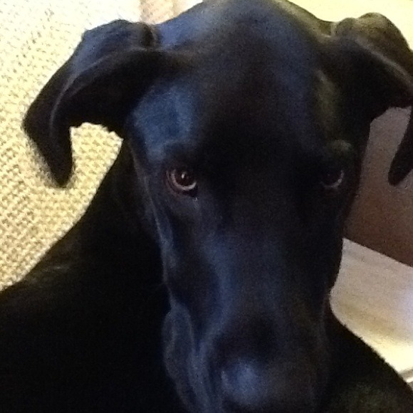 Profile Picture of Connie Kronfeld (@mendomom) on Poshmark