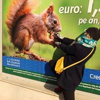 Profile Picture of Alexandra Bogdan (@alexandra-bogdan-2) on Quora