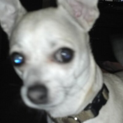 Profile Picture of Craig Timmons (@TimmonsCraig) on Twitter