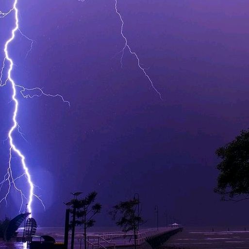 Profile Picture of Lou lover ❤️❤️💋👍💕💜🦊🐼🐳🐋 (@kevintestelin) on Tiktok