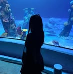 Profile Picture of Regina Alvarez (@Regina-Alvarez) on Facebook