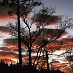 Profile Picture of Joshua Marcum (@joshua.marcum.585) on Instagram