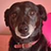 Profile Picture of amy_claridge (@amy_claridge) on Flickr