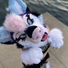 Profile Picture of Zephyr (@zephyr.puppy) on Tiktok