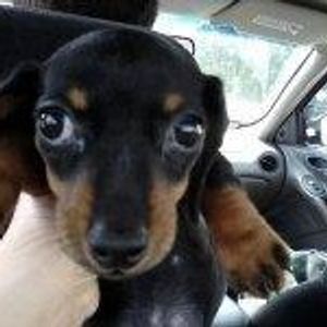 Profile Picture of James Kloepping (@john_belushi) on Myspace