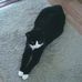 Profile Picture of Ginny Lamb (@ginny.lamb.3194) on Facebook
