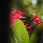 Profile Picture of Terry Randolph (@fortuneheights) on Instagram