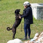 Profile Picture of Laura Demetra Ghirardon (@laly_bibi_minnie_nyx) on Instagram