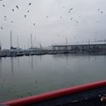 Profile Picture of Michael Flemming (@flemming6672) on Instagram