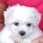 Profile Picture of Paulina Marcinkiewicz (@paulinamarcinkiewicz) on Instagram