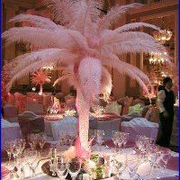 Profile Picture of Amber Splain (@amber.splain) on Facebook