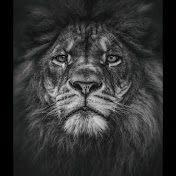 Profile Picture of Dwight Smith Jr. (@DoinBadProductions) on Youtube