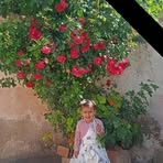 Profile Picture of Farah Mokadem (@Farah-Mokadem) on Facebook