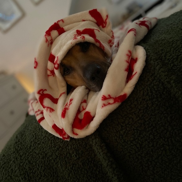 Profile Picture of Grace Ignowski (@graceiggu) on Poshmark