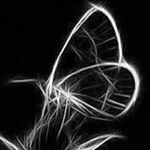 Profile Picture of Keith Phillips (@dogclothingtech) on Instagram