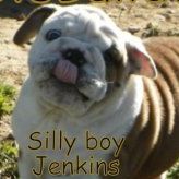 Profile Picture of Beverly Fowler Palmer (@bevsbulldogs) on Pinterest