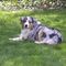 Profile Picture of David Bealer (@david.bealer.35) on Facebook