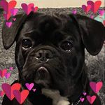 Profile Picture of Barbara Lafferty (@lafferty208) on Instagram