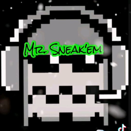 Profile Picture of Jeff Lawson (@mr.sneakem) on Tiktok