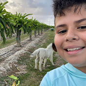 Profile Picture of Jacob Miranda (@JacobMiranda-pw1om) on Youtube