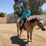 Profile Picture of Terri Rosenberger Scott (@terrirosenbergerscott) on Instagram