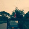 Profile Picture of Ruby Paul (@@rubypaul58) on Tiktok