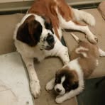 Profile Picture of Eric Berrill (@Eric-Berrill) on Facebook