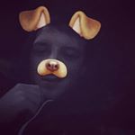 Profile Picture of Ronald Crider (@rj_crider) on Instagram