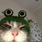 Profile Picture of Keith Lang (@keith.lang.320357) on Facebook