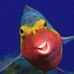 Profile Picture of Mark Buth (@mark.buth.5) on Facebook