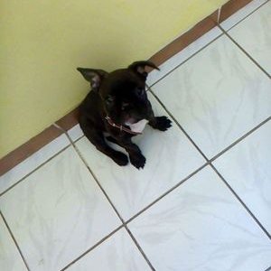 Profile Picture of Ivan Paula (@IvanPaula91) on Twitter