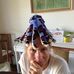 Profile Picture of Ginny Pearson (@ginny.pearson.374) on Facebook