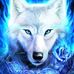 Profile Picture of Robert Bojte (@robert.bojte.52) on Facebook