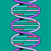 Profile Picture of David Cordero (@davidcordero-w3e) on Youtube